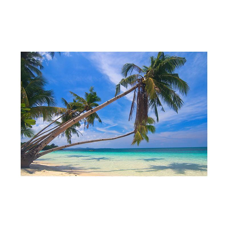 

Sea Beach Sand Cloudy Blue Sky Scene Summer Beach Backdrop for Photo Studio Tropical Palms Coconut Tree Background 150*100cm/5*3ft