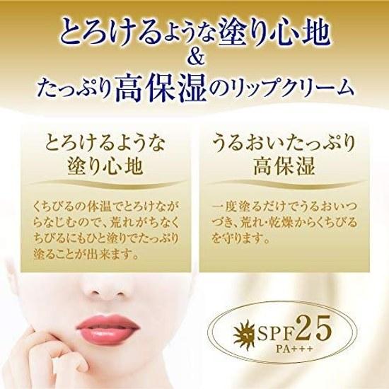 Mentholatum Lip Melty Cream Rich Honey 2.4g