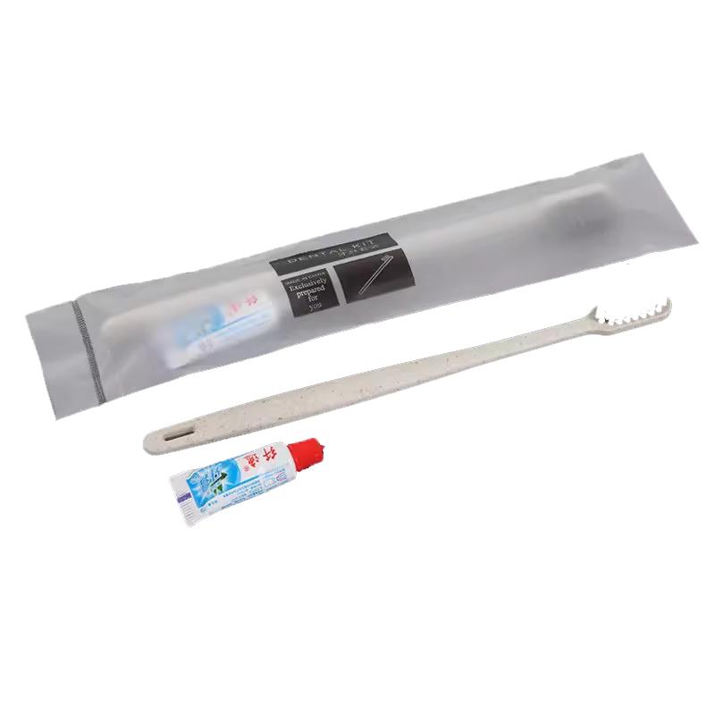 Ntoge Disposable Toothbrush & Toothpaste Set