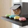 Gatos – Cuidados e higiene
