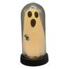 Halloween Ghost Decoration Lighted Ghost in Glass Dome Cloche Cute