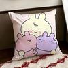 Asamimichaan Asleep Cushion Cover Reversible Soft Durable Pillow Cover Home  Car MultiScene Use for Daily Comfort