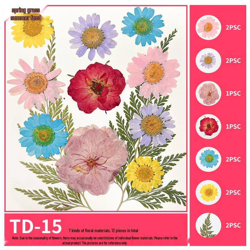 Handmade Pressed Flower Bookmark and Epoxy Sticker Pack with Real Leaf and Plant Specimens for DIY Face Makeup.
