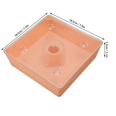 Outdoor Beehive Top Feeder ABS Acrylic Hummingbird Feeders Square Beekeeping Water Feeder