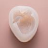 Silicone Brain & Heart Candle Mold Realistic Organ Shape Mold for Epoxy Resin Fondant Soap Easy-Release DIY Craft Mold