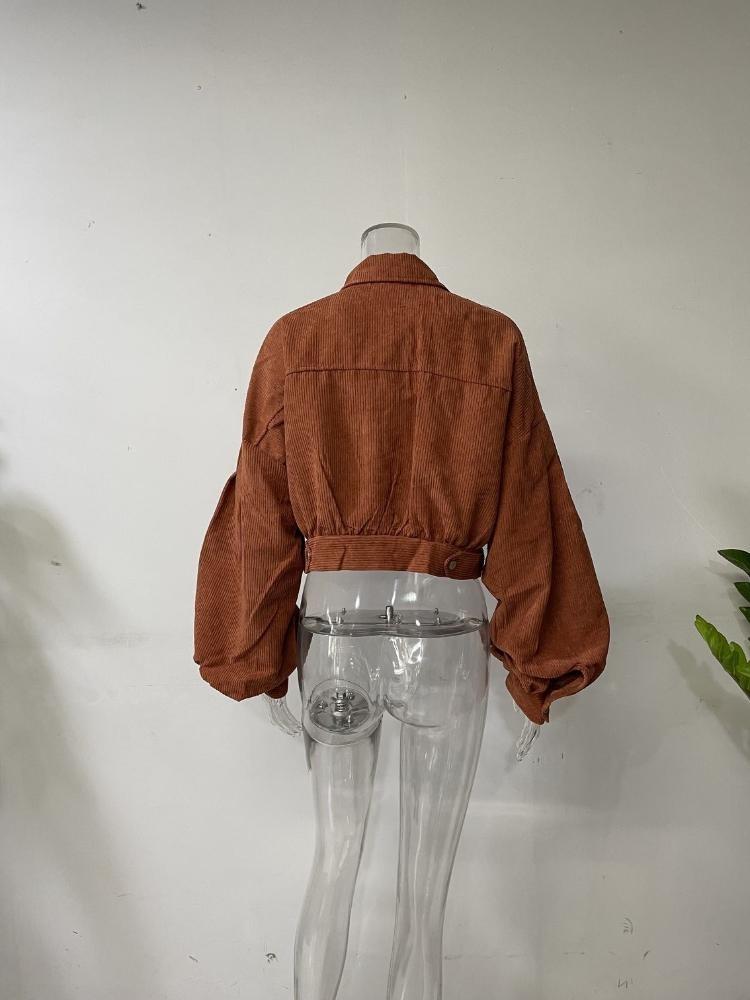Y2K Vintage Jacket Women Autumn Winter Coat Fashion Casual Elegant Loose Short Balloon Sleeves High Street Amercian Jackets