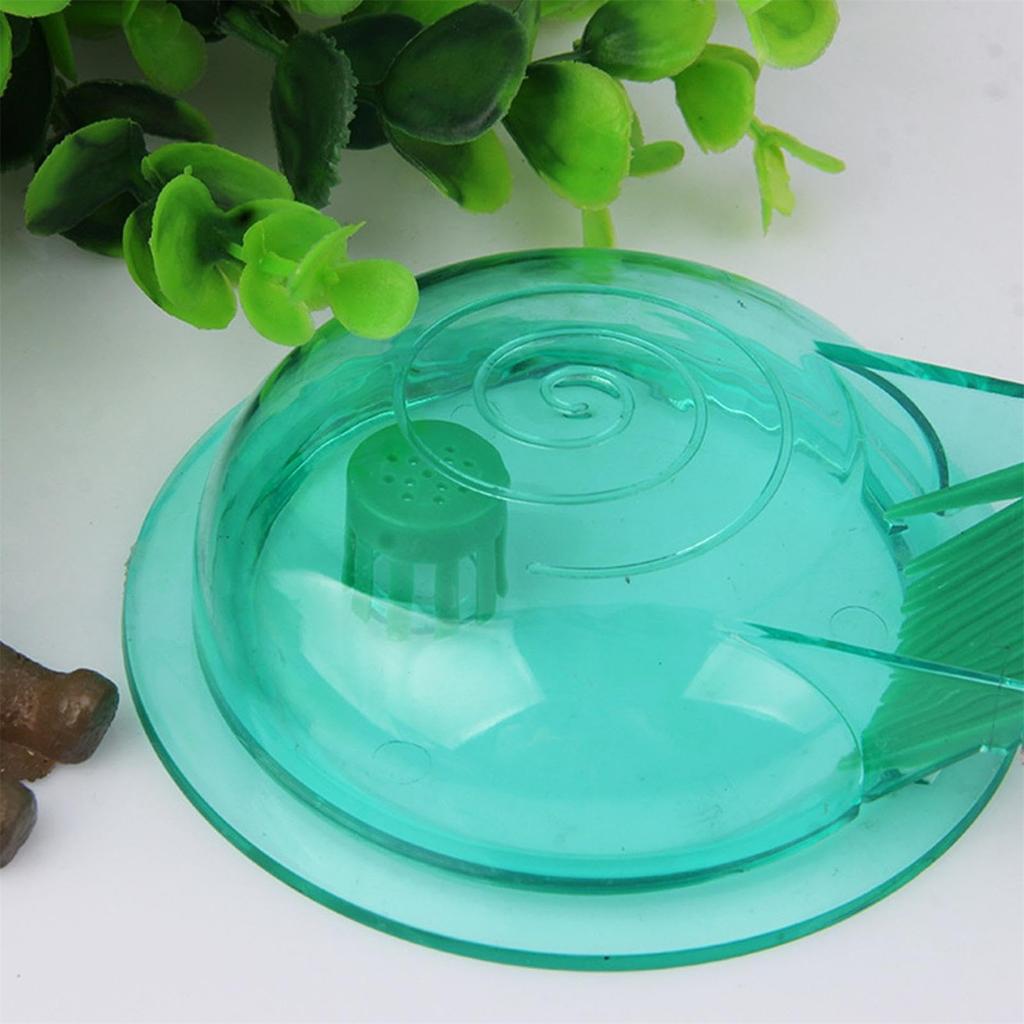 Felleakvarium, Gjennomsiktig design Multifunksjonelt utstyr for soving og lek, Lett tank Visuell planariafelle, Fjerner for F