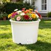 Pothos Planter with Saucer Flowerpot with Drainage Holes Ventilated Plant Pot for Roses Orchids Blueberries Indoor Outdoor Use