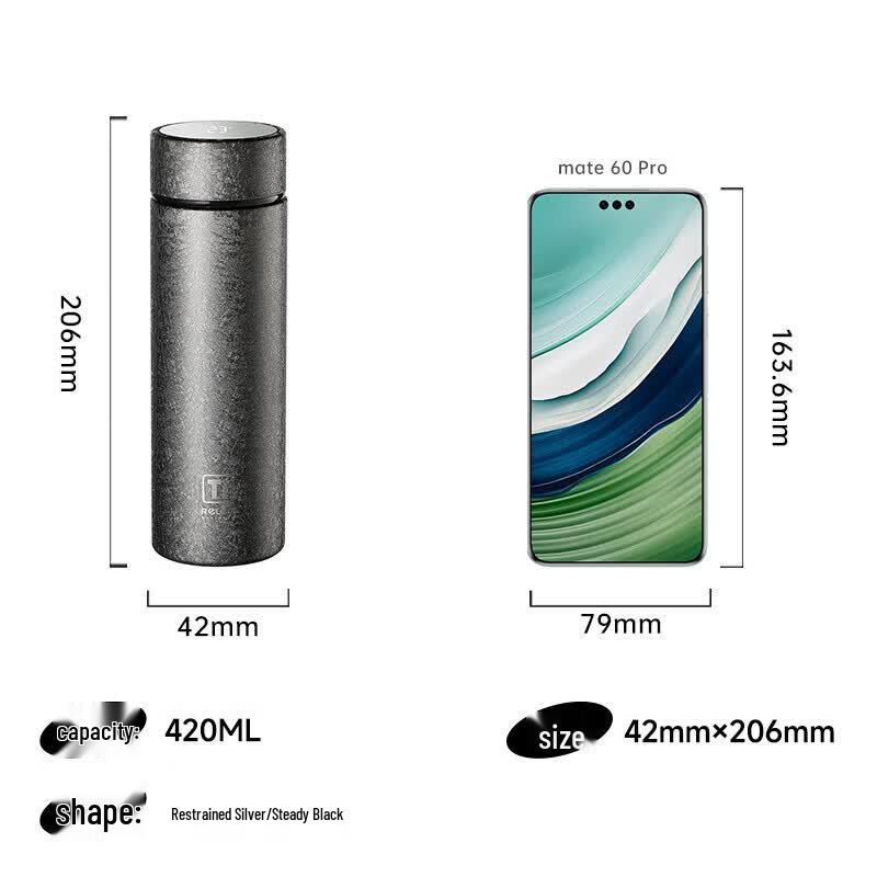 LOCK&LOCK Mu Titanium Insulated Bottle