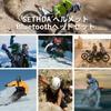 SETHDA M5H Motorcycle Earphones, Ultra-thin, Bluetooth 5.0 Helmet Headset, Auto Answer, IP65 Waterproof, Motorcycle,