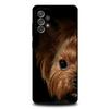 Yorkshire Terrier Dog Phone Case For Samsung S25,S24,S21,S22,S23,S30,Ultra,S20,Plus,Fe,Lite,Note,10,9,5G Black Cover