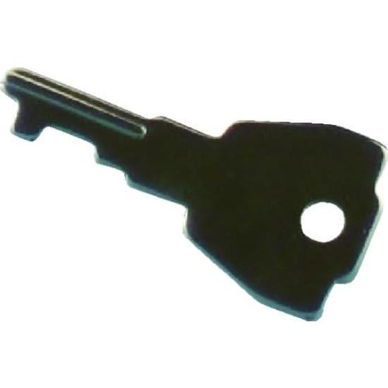 TRUSCO Rotating Fastener with P1040 Key, SUS304,