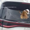Bulldog Rear Wiper Sticker: Sand Skin Dog Puppy for Car Window