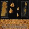 Old G Carp Black Pit Competition Bait: Light, Strong, Aggressive