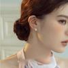 Brogan Round Zircon Ear Studs for Women - Exquisite Earrings with A Sophisticated Design, Featuring A High-end Feel and A Touch of Uniqueness.