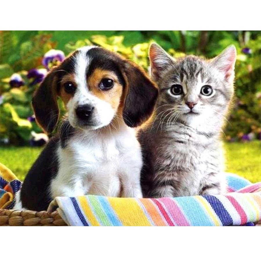 5D DIY Diamond Painting Kit Cute Dog Pictures of Rhinestones Diamond Embroidery Paul Mosaic Animal Home Decor