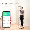 MeilenMeilen MSG008S-B Smart Body Fat & Height Scale (CN version)