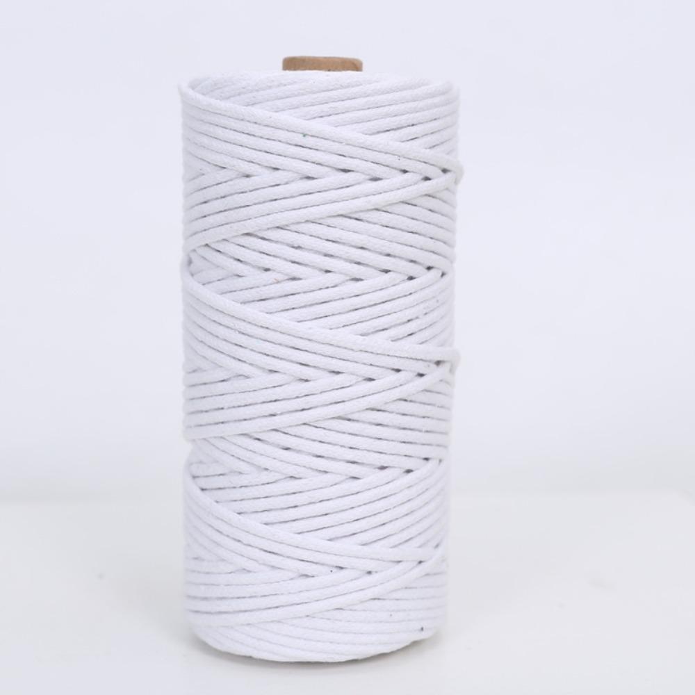 Hot 3mm Macrame Cord Soft Eco-friendly Colored Cotton Rope Knotting and Weaving Rope for Wall Hanging