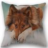 New Custom Dog Sheltie Pillowcase Cotton Linen Fabric Square Zipper Pillowcase 45X45cm Wedding Decorative Pillow Cover
