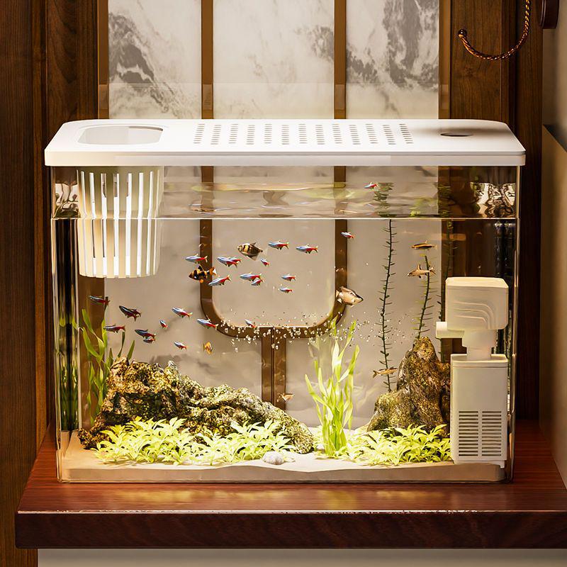 Transparent Plastic Desktop Aquarium: Small Ecological Fish Tank for Goldfish, Ideal for Living Room or Table Landscaping