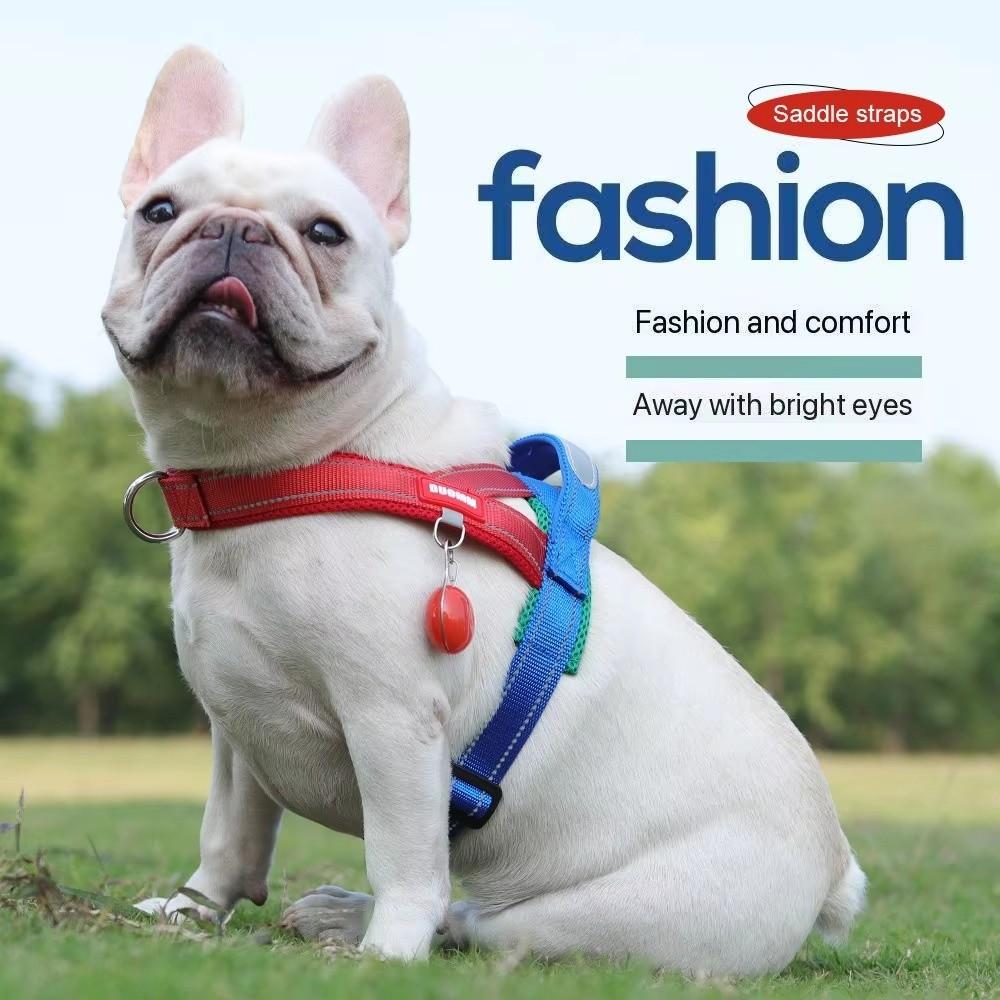Spliced Colors Dog Harness Kit Adjustable Pet Walking Straps  for Small Medium Large Dogs