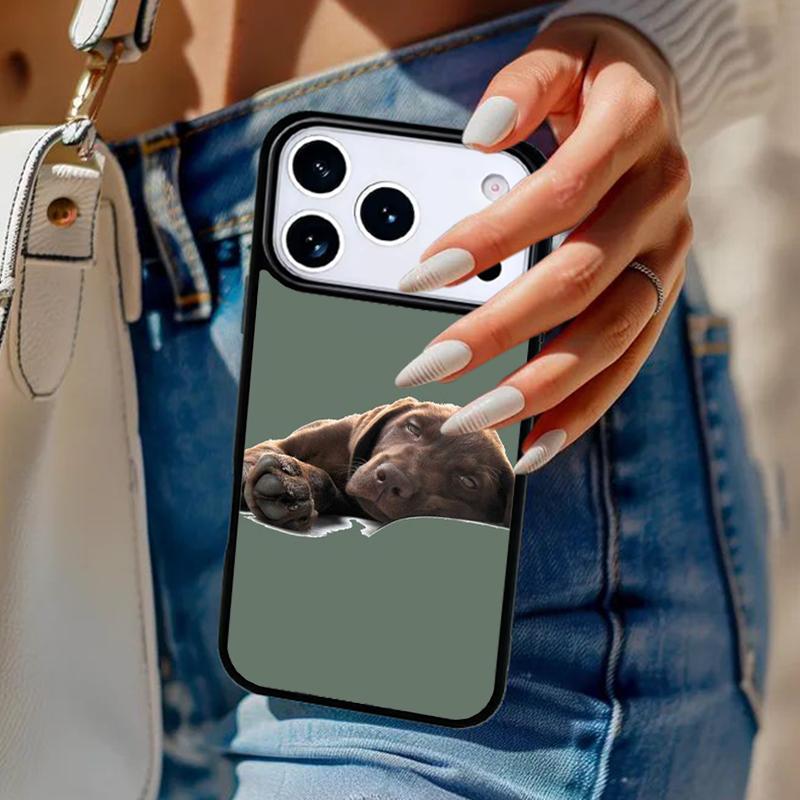 Cute Labrador Retriever Phone Case For iPhone 17 Air 14 15 13 12 Max Cover For Apple 14 15 16 16e 11 Pro Max Plus