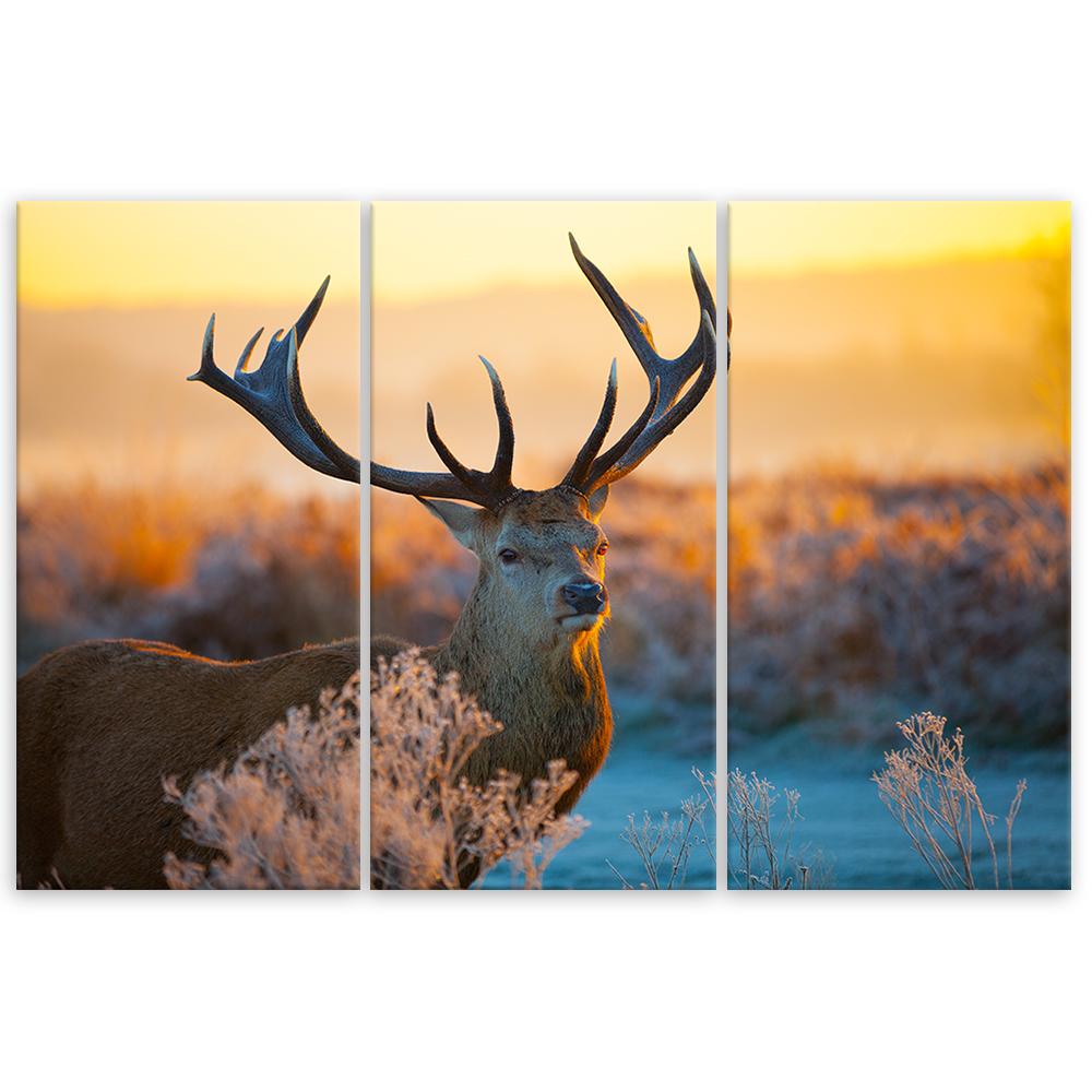 Three Piece Picture Canvas Print Deer Animals