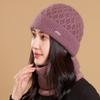 New Knitted Hat Winter Women's Outdoor Cold Hat Outdoor Crimped Twist Pattern Warm Wool Hat