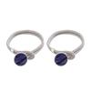 1 Pair Practical Curtain Tieback Exquisite Reusable Wear-resistant No Hooks Required Curtain Buckle Punch Free for Hotel