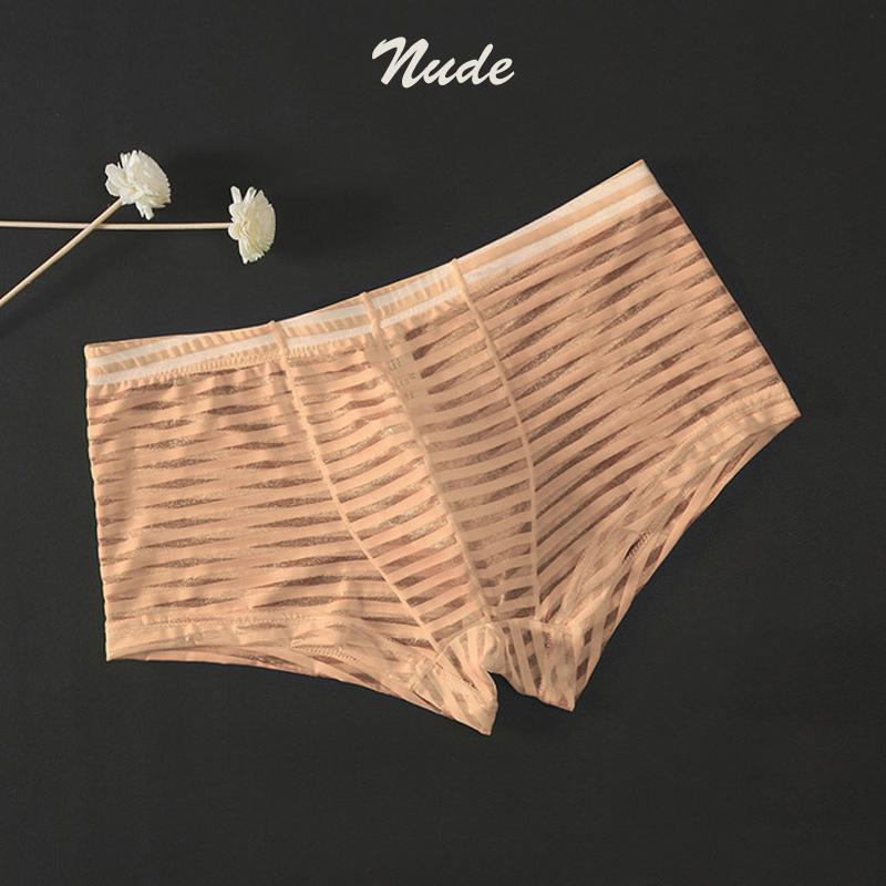 Men Sexy Bulge Pouch Underpants Striped Ultra-Thin Low-Waist Transparent Mesh Boxer Ice Silk