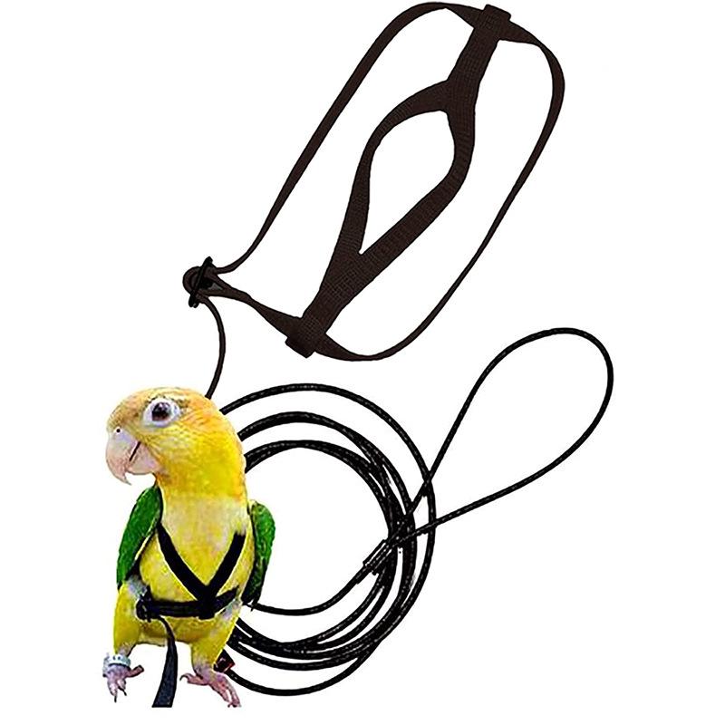 

Parrot Anti-Bite Tiger Skin Cockatiel Leash - Bird Walking & Training Rope Large