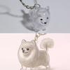 Clear Puppy Hair Memorial Keepsake Capsule Pet'S Dog Fur Container Diy Pendant Keychain Decor Pet Lovers Home Display Gifts