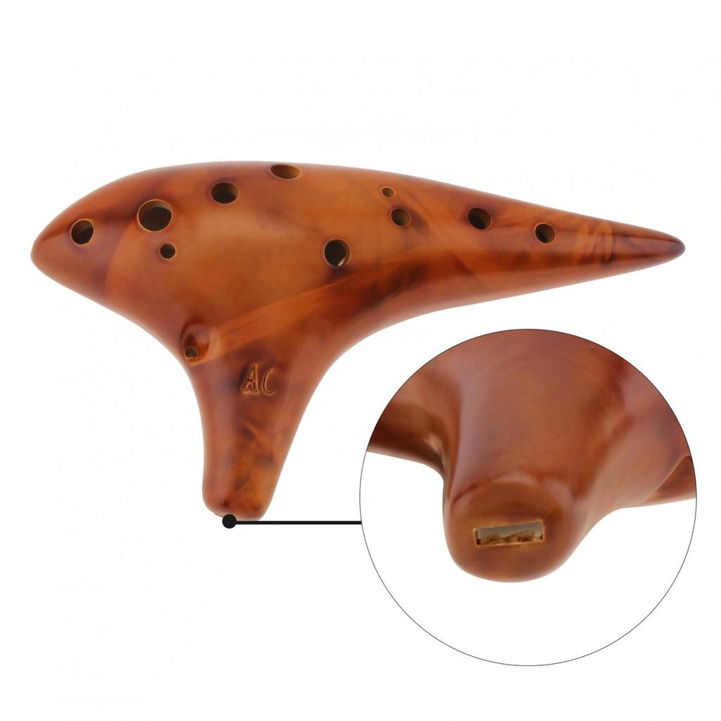 12 Holes Alto ToneC Ceramic Ocarina for Children / Adults / Beginners with Song Book Neck Cord Carry Bag,Good Musical Instrument