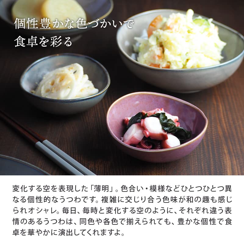 EAST Table Small Bowl, Oval Oven, 11cm, Twilight, Morning, Made In Japan, Microwave Safe, Dishwasher Safe, Small Bowl, 17-018-01