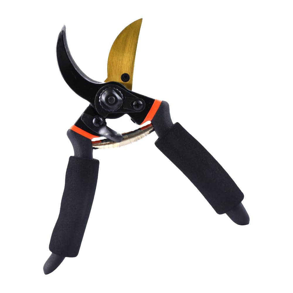 

Pruning shears for fruit lock sharp cutting total length 217mm gardening, bonsai, trees, harvesting, care, trimming, function, edge,