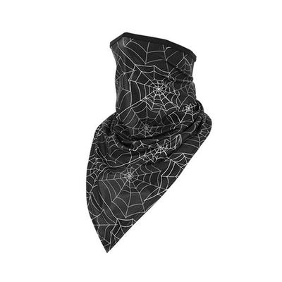 Safer UV Protection Mask (Pider)/Riding Mountaineering Mask