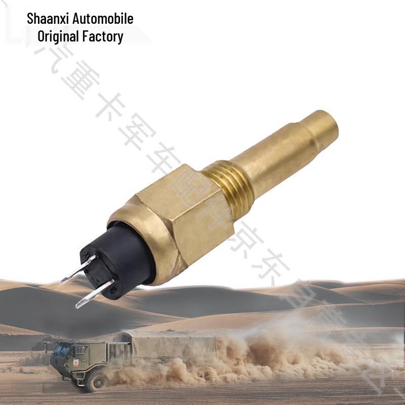 Shaanxi Heavy Truck SX2220/2306 Series Sensors