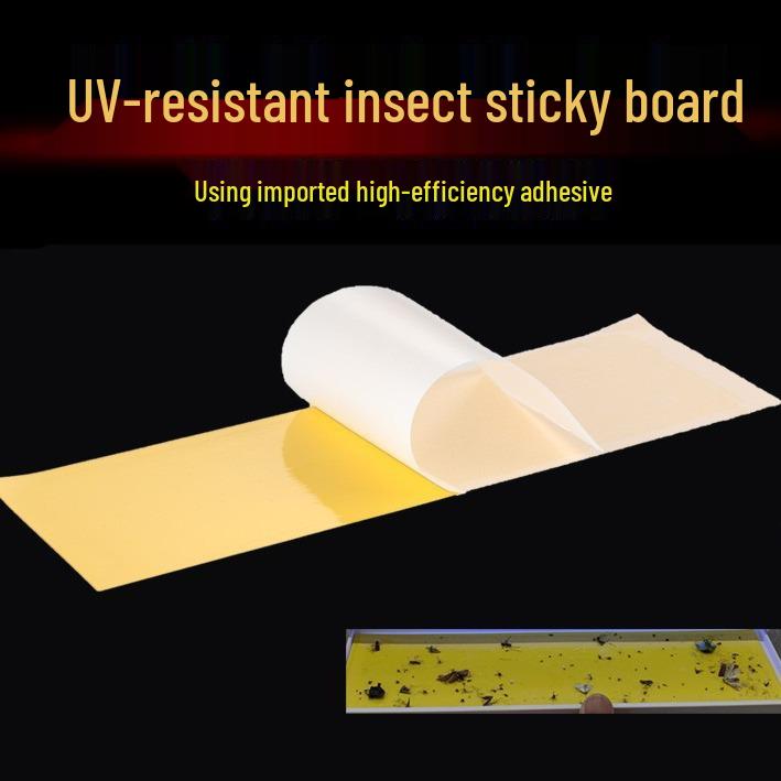 Sticky Fly Paper Insect Trap Board - Flying Insect Catcher & Aphid Attractor 25*10 cm