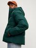 Зимняя куртка Jack & Jones Bradley Down Jacket (12256974) Jjebradley Puffer Hood Sn (12256974) магический лес