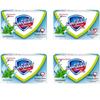 Safeguard Mint Icy Fresh Bar Soap
