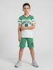 Boys Regular Fit Printed Bermuda Set