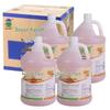 BAIYUN KANGYA KY119A Powerful Stone & Tile Descaler