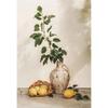 Retro Elegante Olivenbaum und Zitrone Leinwand Poster Vase Wandkunst Poster Perfektes Geschenk für Wohnzimmer Schlafzimmer Studentenwohnheim Heimdekoration