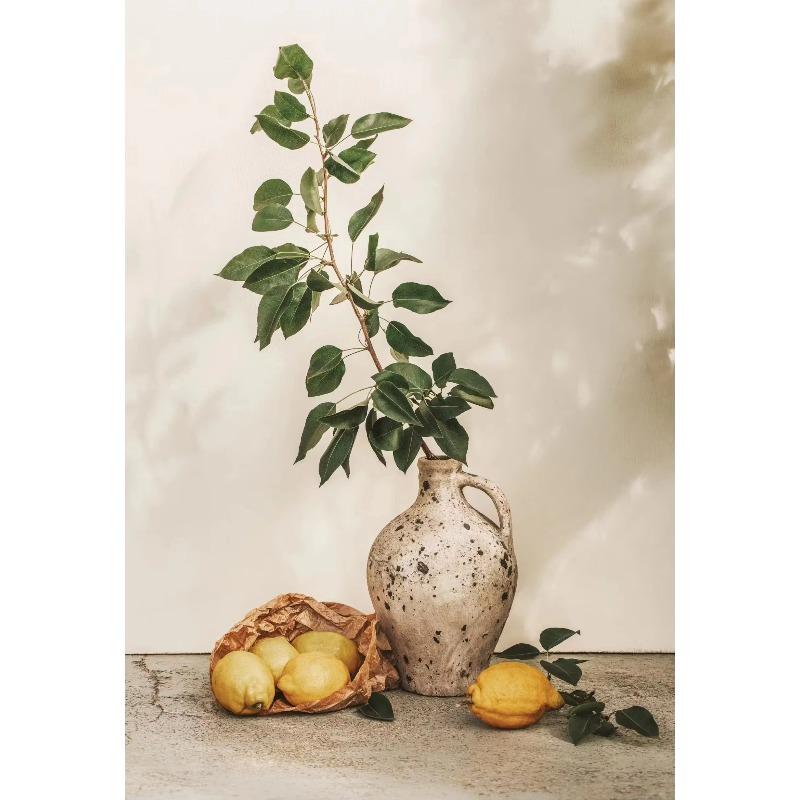 Retro Elegante Olivenbaum und Zitrone Leinwand Poster Vase Wandkunst Poster Perfektes Geschenk für Wohnzimmer Schlafzimmer Studentenwohnheim Heimdekoration