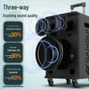 SANSUI E15 Outdoor Portable KTV Speaker with Dual Microphones CN plug (adapter included)