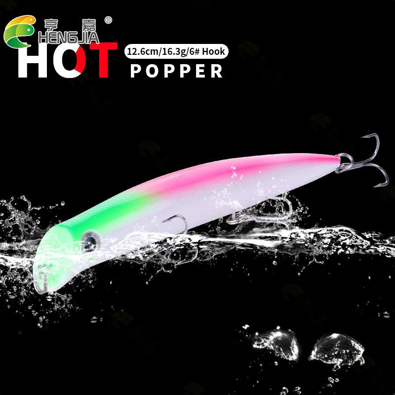 Leurre Artificiel Dur 12/16g Flottant Wobbler Popper Leurre
