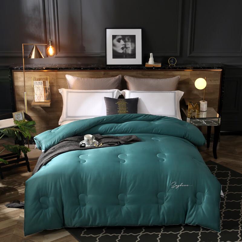 Yiyiai 60S Long-Staple Cotton Soybean Winter Quilt