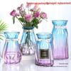 Nordic Transparent Glass Vase for Hydroponic or Dried Flowers – Ideal for Living Room Decor.