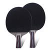 Double Fish 6-Star Table Tennis Paddle