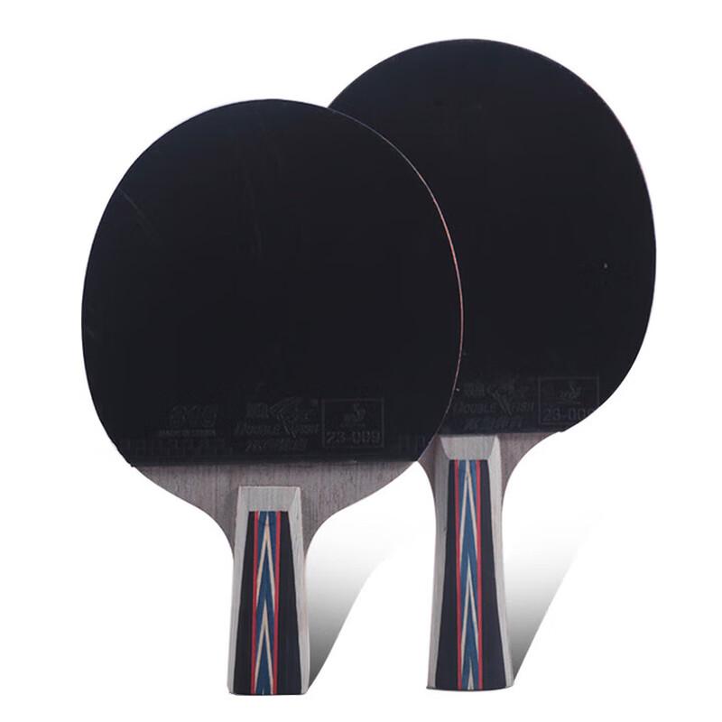 Double Fish 6-Star Table Tennis Paddle
